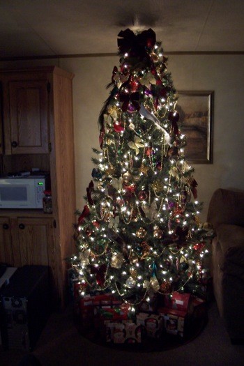 Christmas tree '08