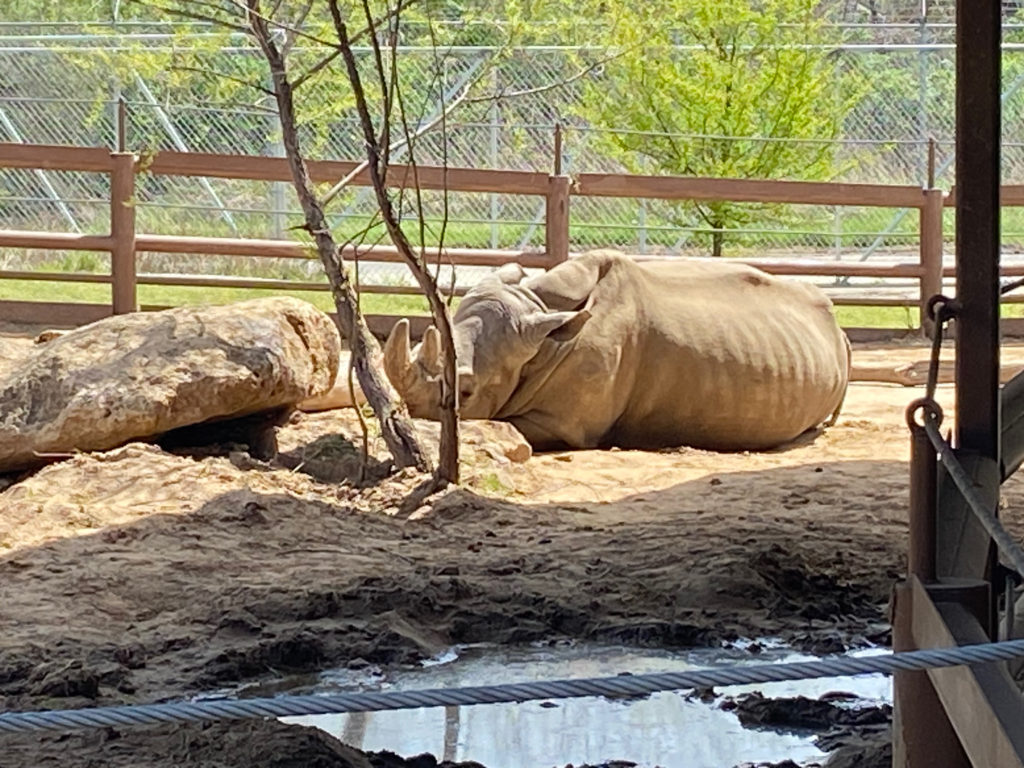 Tulsa Zoo, 2023