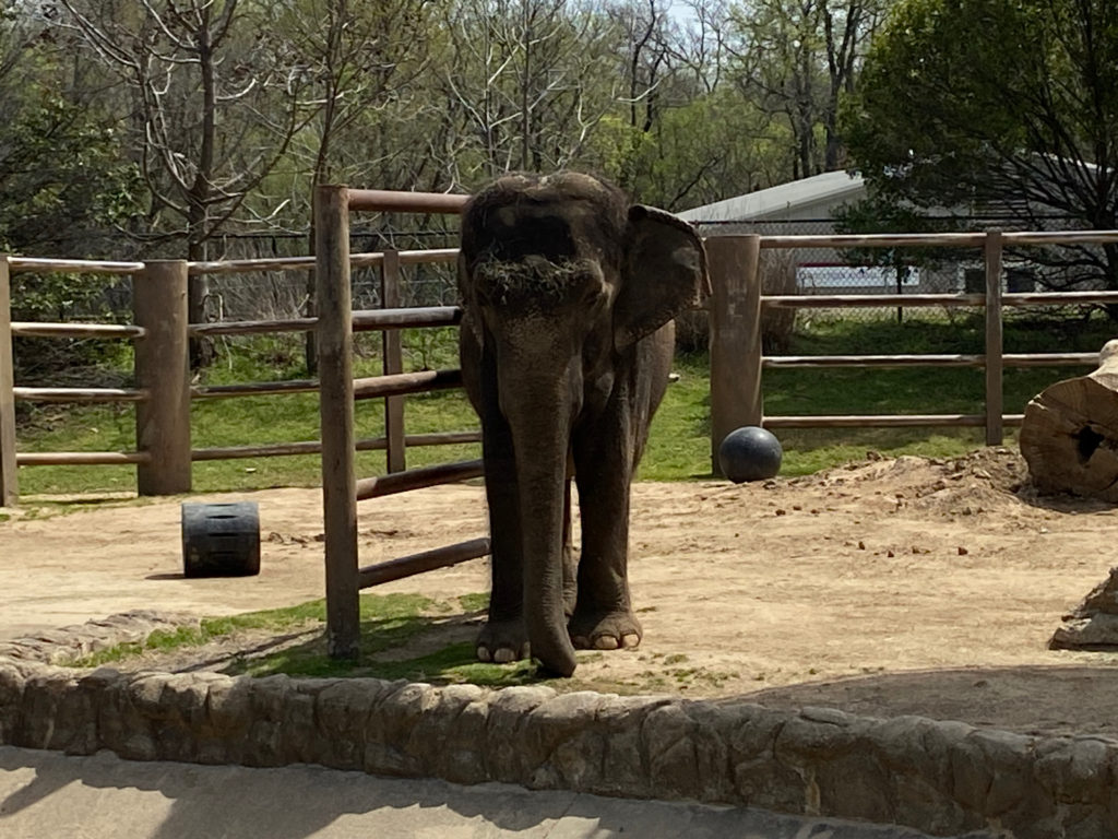 Tulsa Zoo, 2023
